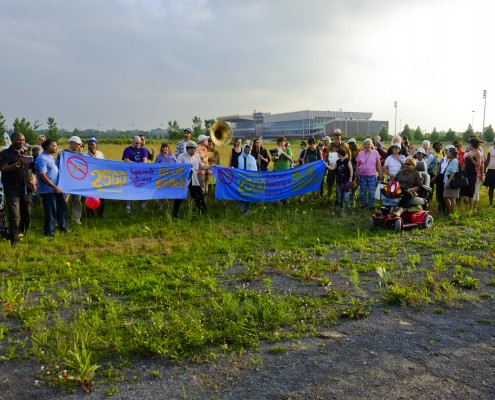 Sur le terrain de Blue Bonnets / On the Blue Bonnets site