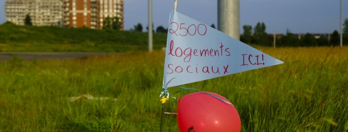 Pour le logement social sur Blue Bonnets / Promoting social housing on Blue Bonnets