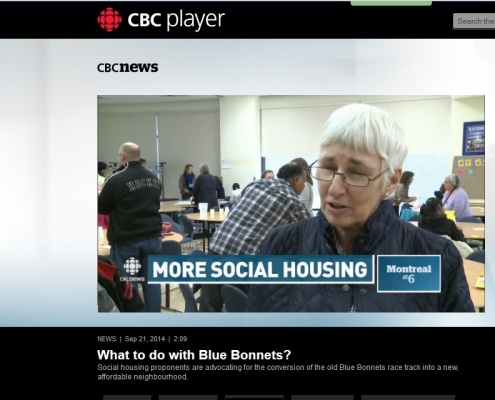 CBC TV News - What to do with Blue Bonnets?