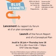 Lancement du rapport et plan conceptuel / Launch of report and conceptual plan