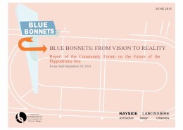 Blue Bonnets: From Vision to Reality