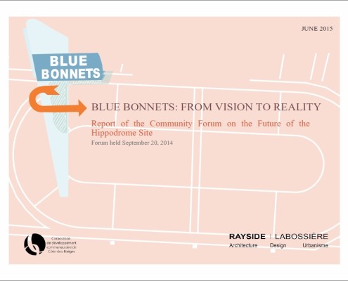 Blue Bonnets: From Vision to Reality